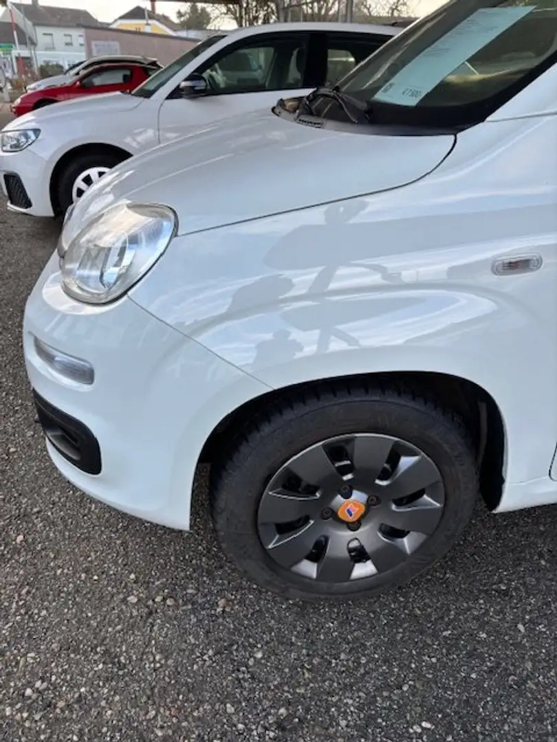Fiat Panda Panda 1,2 69 K-Way K-Way Weiß - 2