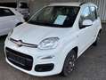 Fiat Panda Panda 1,2 69 K-Way K-Way Weiß - thumbnail 1