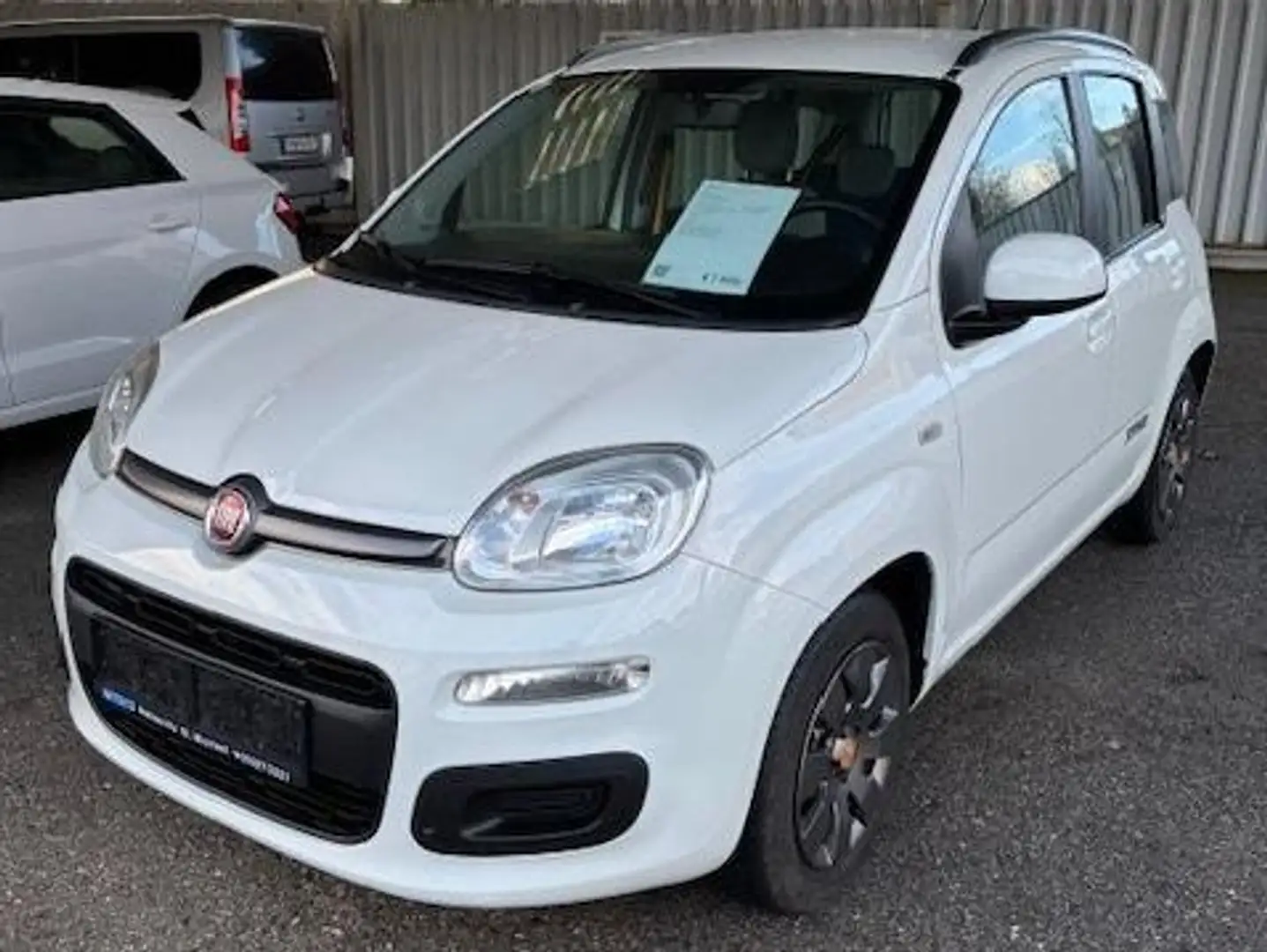 Fiat Panda Panda 1,2 69 K-Way K-Way Weiß - 1