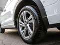 Volkswagen T-Roc 1.5 TSI DSG R-Line AHK/Navi/RFK Weiß - thumbnail 6