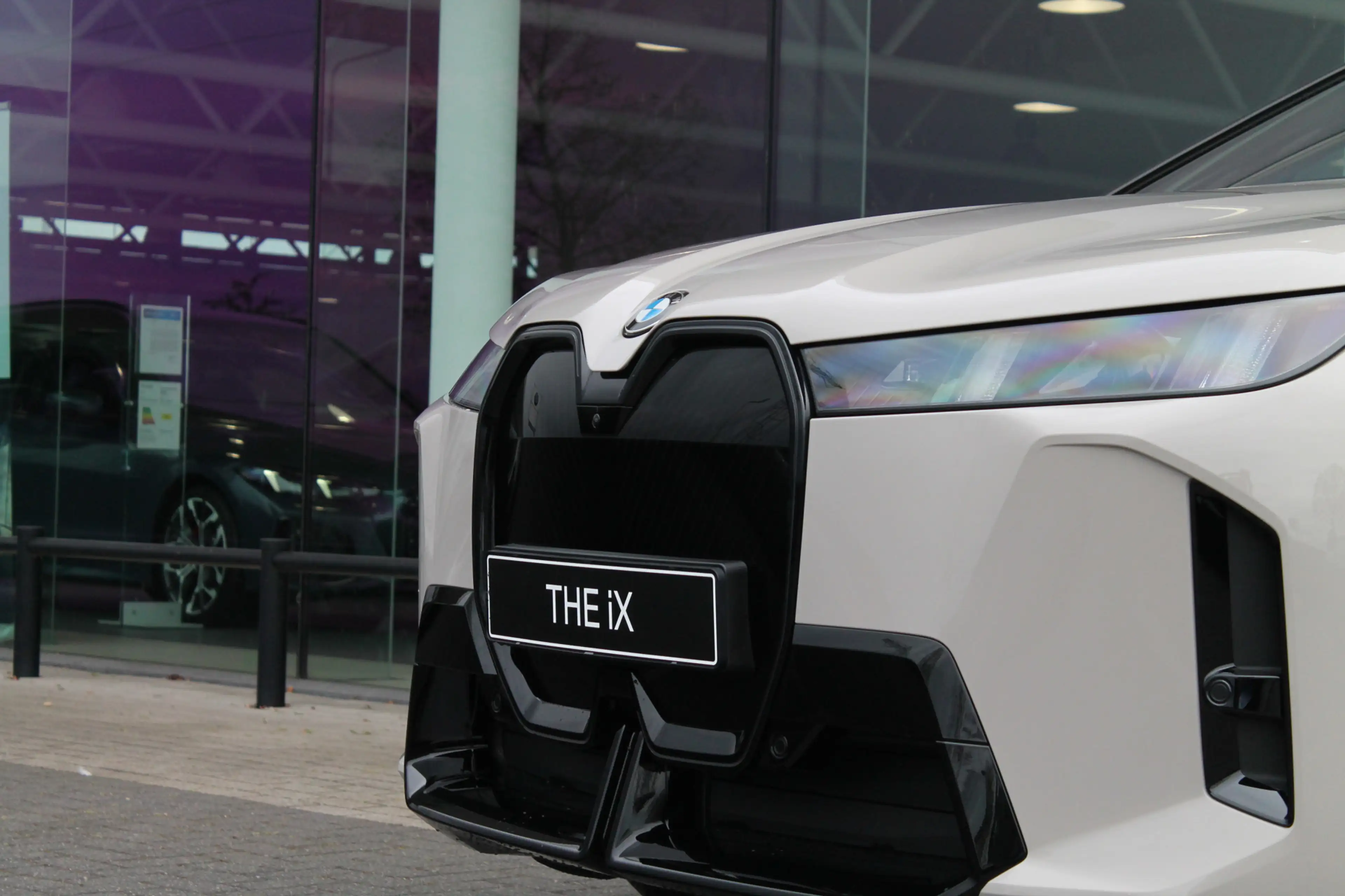 BMW iX xDrive60 M Sport / Panoramadak Sky Lounge / Trekha — photo 6