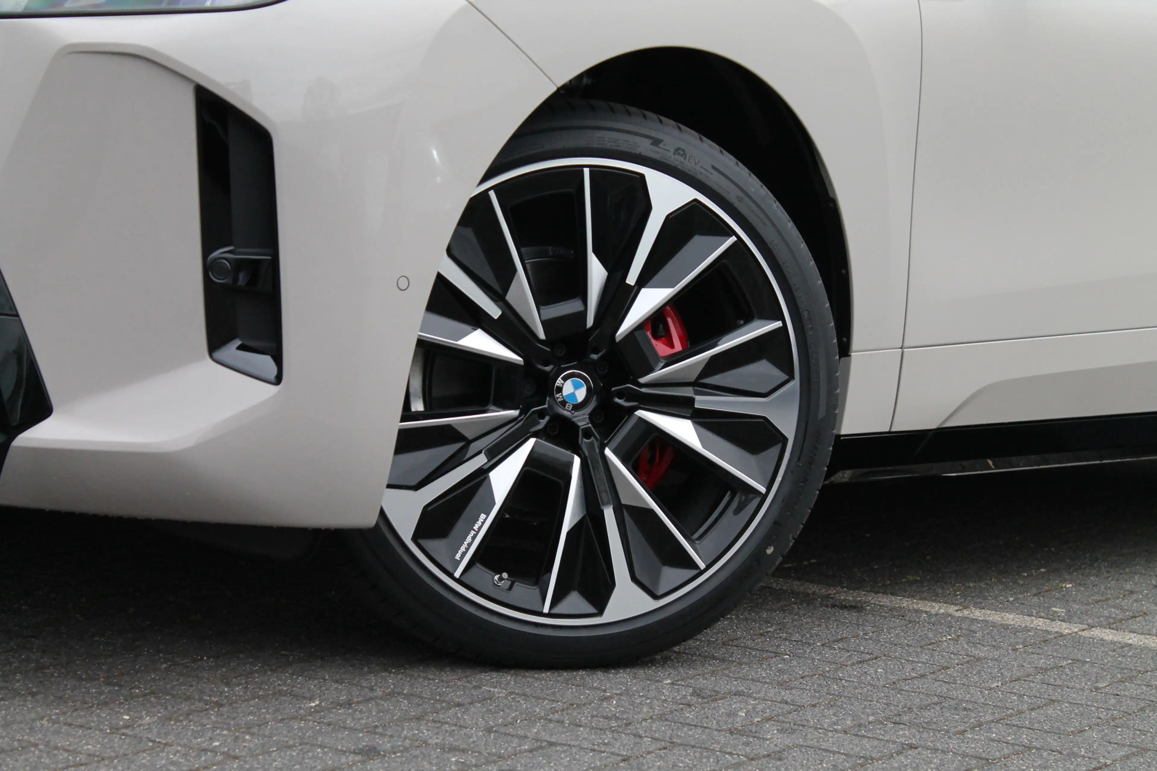 BMW iX xDrive60 M Sport / Panoramadak Sky Lounge / Trekha — photo 8