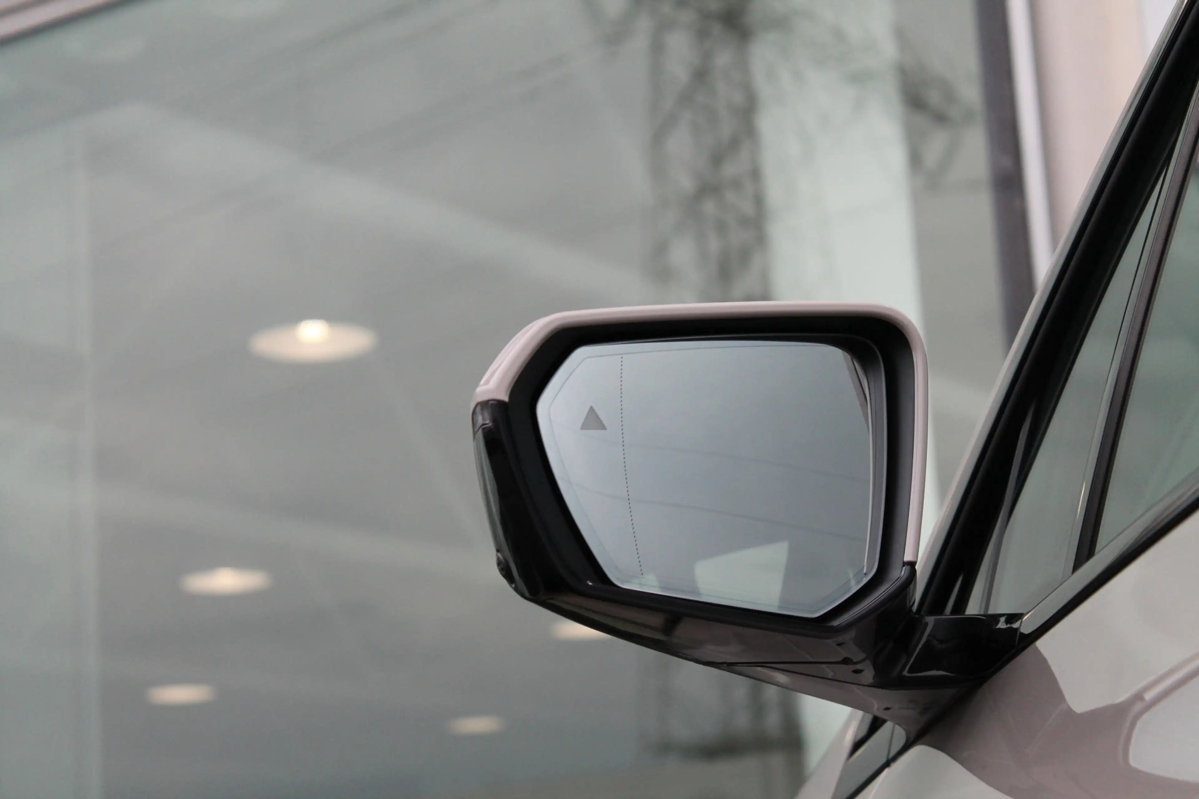 BMW iX xDrive60 M Sport / Panoramadak Sky Lounge / Trekha — photo 12