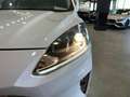 Ford Kuga 2.5 Duratec PHEV Titanium 4x2 Blanc - thumbnail 25