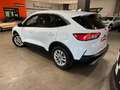 Ford Kuga 2.5 Duratec PHEV Titanium 4x2 Blanc - thumbnail 5