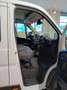 Fiat Ducato Fiat Ducato dopp. cab. 35Q MH1 140 CV cassone fis Blanco - thumbnail 20