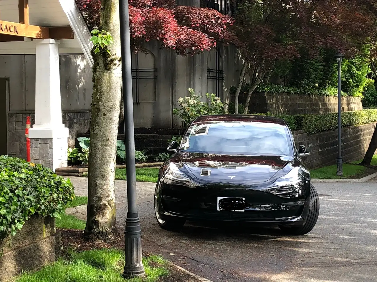 Tesla Model 3 снимка Tesla Model 3