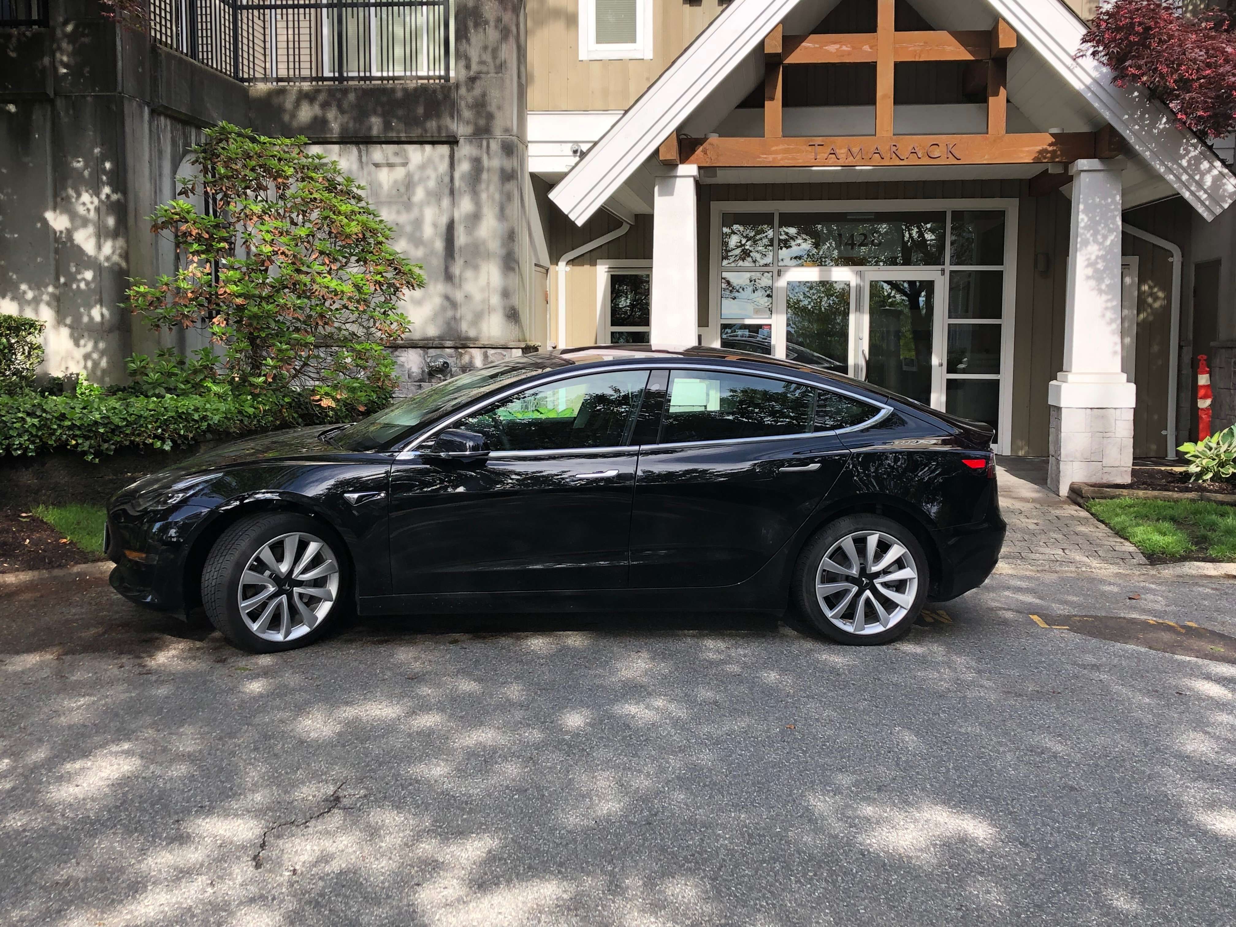 2019 Tesla Model 3 Mid Range alt 3
