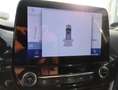 Ford Puma ST-Line, PDC, Alu, Winter Pkt., Navi Blanc - thumbnail 12