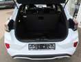 Ford Puma ST-Line, PDC, Alu, Winter Pkt., Navi Blanc - thumbnail 5