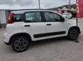 Fiat Panda Panda III 1.0 firefly hybrid City Life s Bianco - thumbnail 8