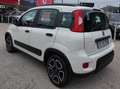 Fiat Panda Panda III 1.0 firefly hybrid City Life s Bianco - thumbnail 5