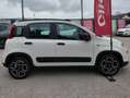 Fiat Panda Panda III 1.0 firefly hybrid City Life s Bianco - thumbnail 9