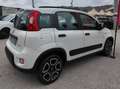 Fiat Panda Panda III 1.0 firefly hybrid City Life s Bianco - thumbnail 7