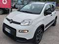Fiat Panda Panda III 1.0 firefly hybrid City Life s Bianco - thumbnail 2