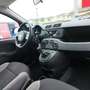Fiat Panda Panda III 1.0 firefly hybrid City Life s Bianco - thumbnail 13