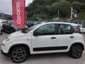 Fiat Panda Panda III 1.0 firefly hybrid City Life s Bianco - thumbnail 4