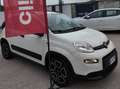 Fiat Panda Panda III 1.0 firefly hybrid City Life s Bianco - thumbnail 10