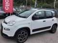 Fiat Panda Panda III 1.0 firefly hybrid City Life s Bianco - thumbnail 3