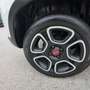 Fiat Panda Panda III 1.0 firefly hybrid City Life s Bianco - thumbnail 14