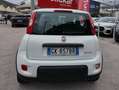Fiat Panda Panda III 1.0 firefly hybrid City Life s Bianco - thumbnail 6