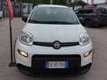 Fiat Panda Panda III 1.0 firefly hybrid City Life s Bianco - thumbnail 1