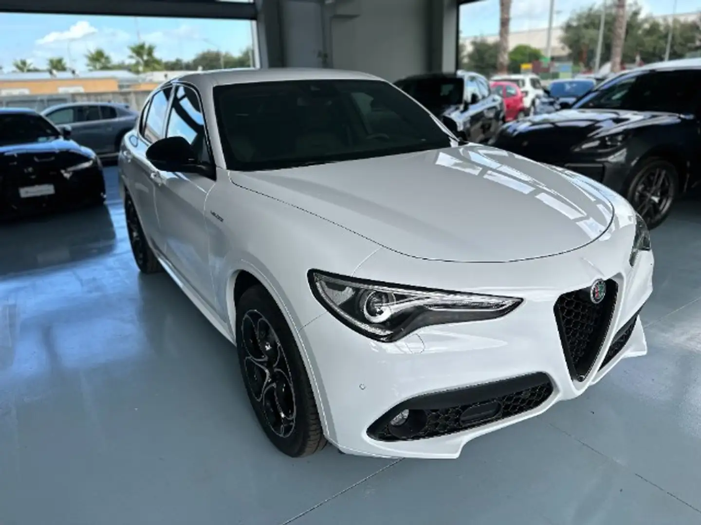 Alfa Romeo Stelvio 2.2 Turbodiesel 210 CV AT8 Q4 Veloce Bianco - 2