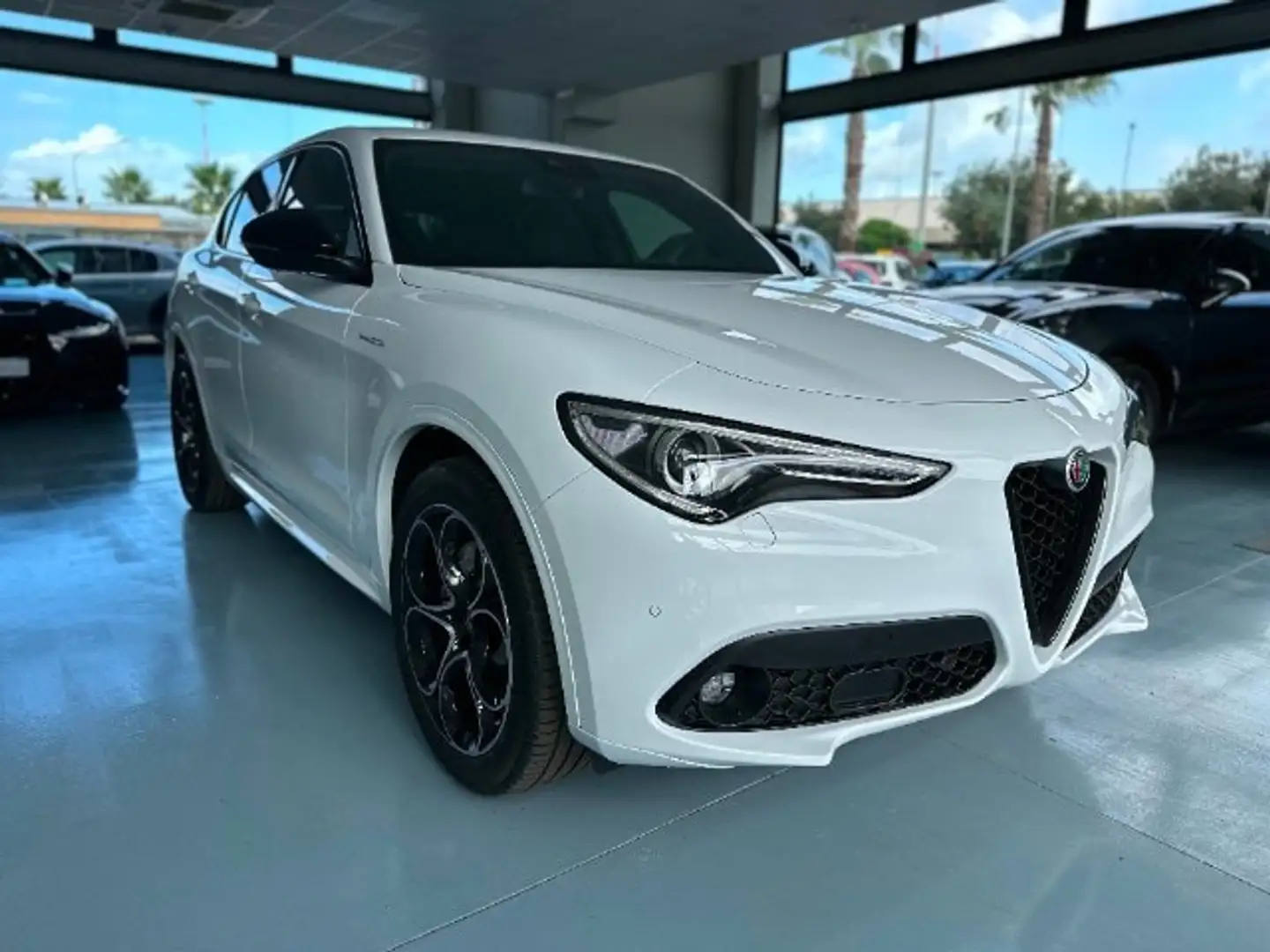 Alfa Romeo Stelvio 2.2 Turbodiesel 210 CV AT8 Q4 Veloce Bianco - 1