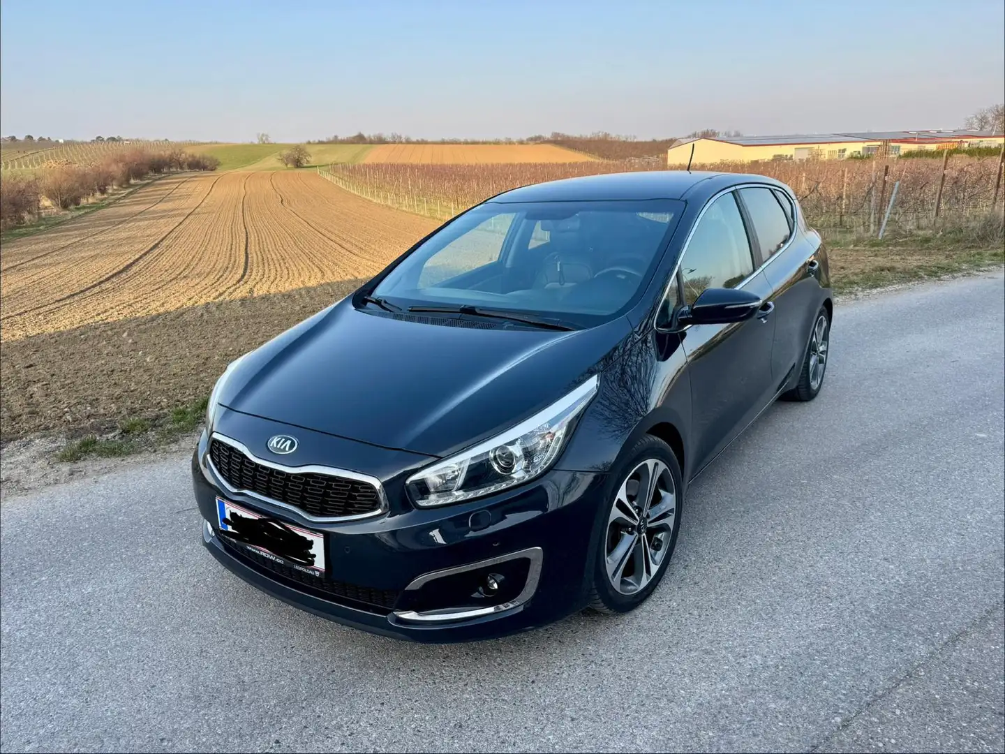 Kia Ceed / cee'd cee'd 1,6 CRDi ISG Platin Platin Schwarz - 2