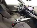 Audi A4 S line 35 2.0 TFSI S-tronic Verde - thumbnail 17