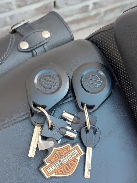 Harley-Davidson V-Rod - foto 6