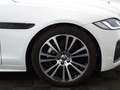 Jaguar XF D200 R-Dynamic SE RWD Auto Blanc - thumbnail 6