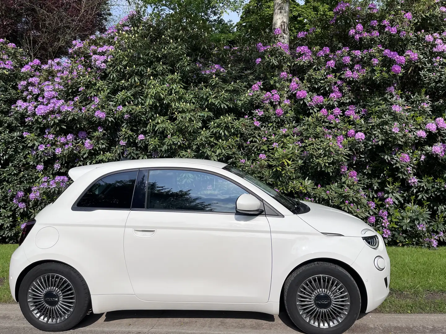 Fiat 500e Alb - 1