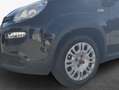 Fiat Panda 1.0 GSE Hybrid Schwarz - thumbnail 7