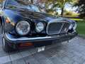 Jaguar Daimler Double Six Schwarz - thumbnail 17