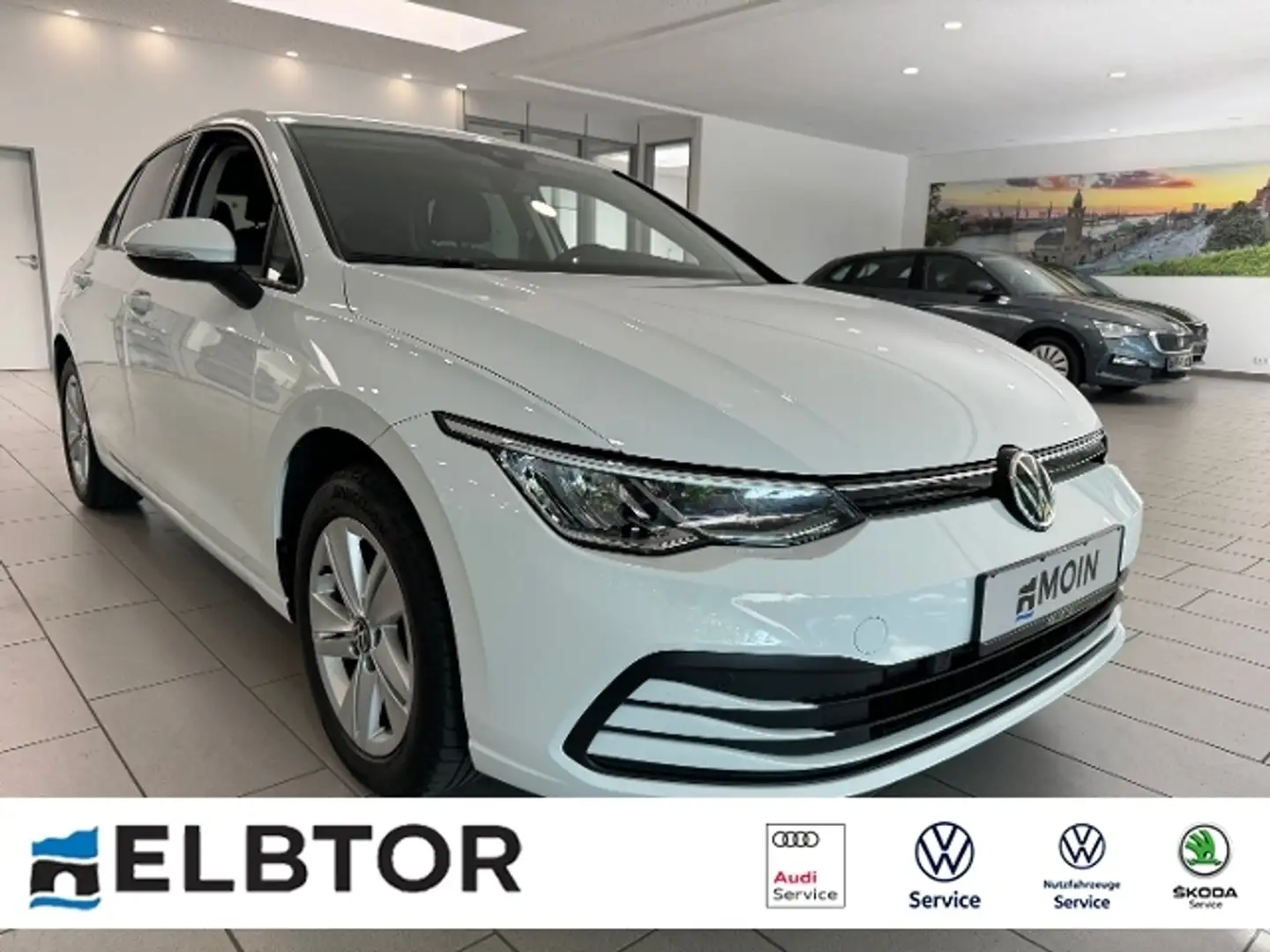 Volkswagen Golf VIII 2.0 TDI DSG Life Navi ACC LED PDC Wit - 1