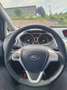 Ford Fiesta Fiesta 5p 1.2 16v  82cv Gris - thumbnail 13