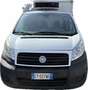 Fiat Scudo 2.0 MJT/130 CELLA FRIGO 0-4 GRADI FRAX ATP 12/2026 Bianco - thumbnail 2