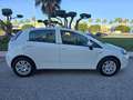 Fiat Punto 1.3Mjt Easy E5+ Weiß - thumbnail 8