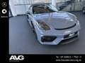 Porsche Sonstige 718 Cayman /Spyder APPROVED 27|CHRONO|GTS-PAKET Grau - thumbnail 31