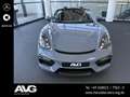Porsche Sonstige 718 Cayman /Spyder APPROVED 27|CHRONO|GTS-PAKET Grau - thumbnail 10