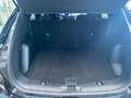 Ford Kuga ST-Line Nero - thumbnail 13