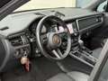 Porsche Macan T 2.0 Turbo PDK ACC PANO PASM PDLS CAM360 EXHAUST Gris - thumbnail 9