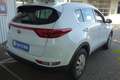 Kia Sportage 1.6 GDI*Edition 7*4xSHZG*PDC*KLIMA*TEMPO*LENKRADHZ Blanc - thumbnail 4
