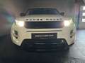 Land Rover Range Rover Evoque 2.2 eD4 2WD Prestige✅Sfeerverlichting✅Cruise Contr Wit - thumbnail 31