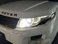 Land Rover Range Rover Evoque 2.2 eD4 2WD Prestige✅Sfeerverlichting✅Cruise Contr Wit - thumbnail 32