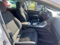 Peugeot 3008 1.6 hdi 8v Business 115cv fap Weiß - thumbnail 12