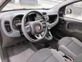 Fiat Panda Panda 1.2 Easy 69cv Beige - thumbnail 5