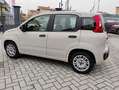 Fiat Panda Panda 1.2 Easy 69cv Beige - thumbnail 2