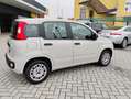 Fiat Panda Panda 1.2 Easy 69cv Beige - thumbnail 3